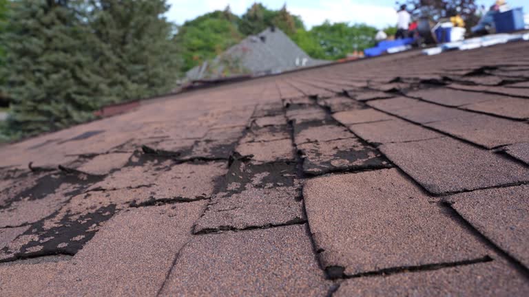 Best Gutter Installation and Repair  in Lawndale, CA